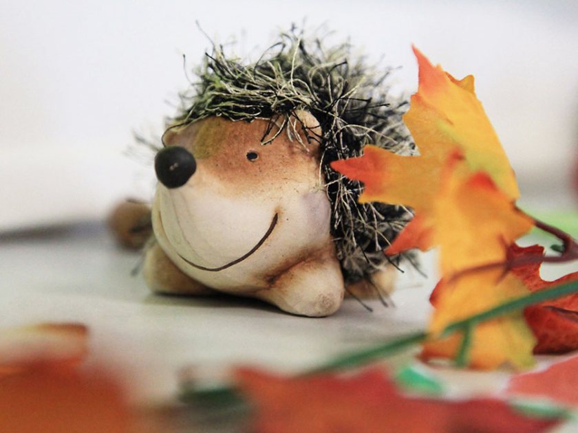 SPE Champel - Betrand - Bricolage